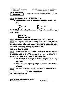 Đề thi chọn đội tuyển HSG Toán khối X môn Toán - THPT Việt Trì