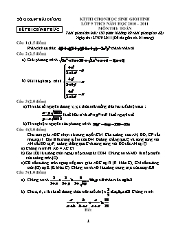 Đề thi chọn HSG tỉnh Hải Dương môn Toán lớp 9 năm học 2010-2011