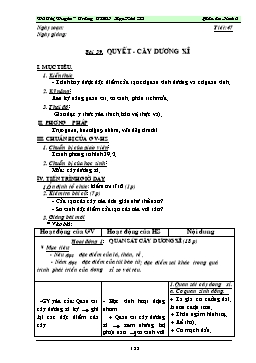 Giáo án dạy Sinh học 6 - Tiết 47: Quyết - Cây dương xỉ