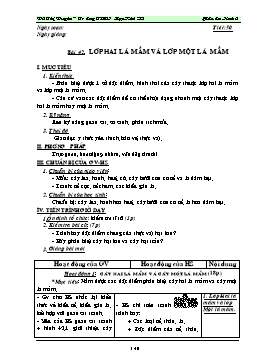 Giáo án dạy Sinh học 6 - Tiết 50: Lớp hai lá mầm và lớp một lá mầm