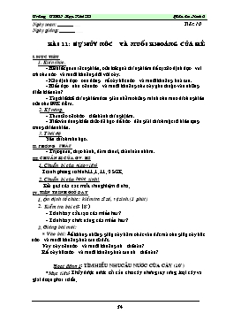 Giáo án Sinh học 6 - Tiết 10: Sự hút nước và muối khoáng của rễ