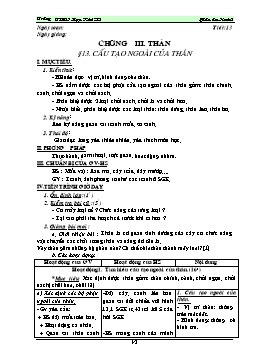 Giáo án Sinh học 6 - Tiết 13: Cấu tạo ngoài của thân