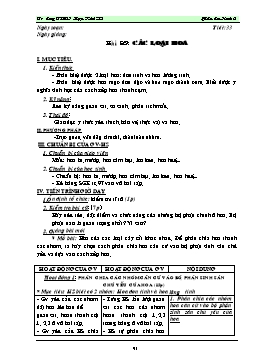 Giáo án Sinh học 6 - Tiết 33: Các loại hoa