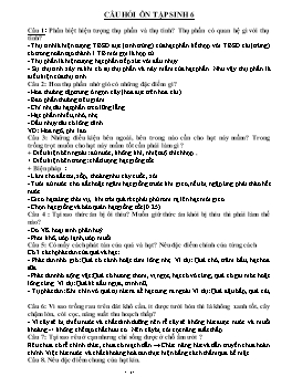 Bộ đề câu hỏi ôn tập môn Sinh học Lớp 6