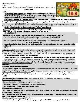 Đề cương ôn tập học kỳ I môn Sinh học Lớp 9 - Năm học 2012-2013