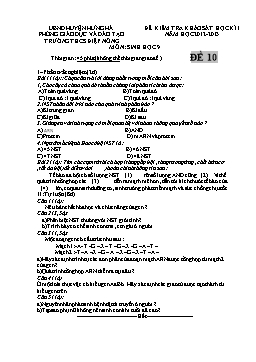Đề kiểm tra khảo sát học kỳ I môn Sinh học Lớp 9 năm học 2012-2013 - Đề 10 - Trường THCS Điệp Nông