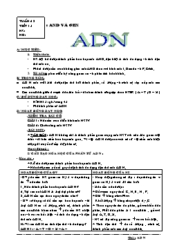 Giáo án môn Sinh học Lớp 9 - Tiết 15: ADN