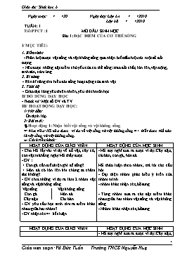 Giáo án Sinh học 6 cả năm - Soạn theo chuẩn kiến thức kĩ năng - Năm học 2010-2011
