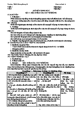 Giáo án Sinh học 6 - Chương trình cả năm theo chuẩn kiến thức kĩ năng