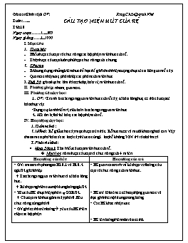 Giáo án Sinh học 6 - Tiết 10: Cấu tạo miền hút của rễ - Năm học 2011-2012
