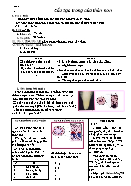 Giáo án Sinh học 6 - Tiết 17+18