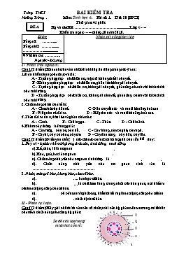 Giáo án Sinh học 6 - Tiết 20: Bài kiểm tra số 1 - Trường THCS Hoằng Trường