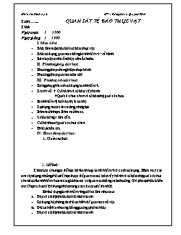 Giáo án Sinh học 6 - Tiết 6: Quan sát tế bào thực vật - Năm học 2011-2012