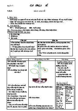 Giáo án Sinh học 6 - Tiết 9+10