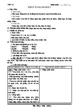 Giáo án Sinh học Lớp 6 - Tiết 16: Thân to ra do đâu