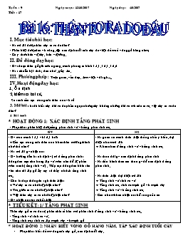 Giáo án Sinh học Lớp 6 - Tiết 17: Thân to ra do đâu - Năm học 2007-2008