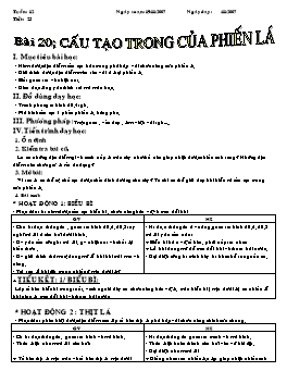 Giáo án Sinh học Lớp 6 - Tiết 23: Cấu tạo trong của phiến lá - Năm học 2007-2008