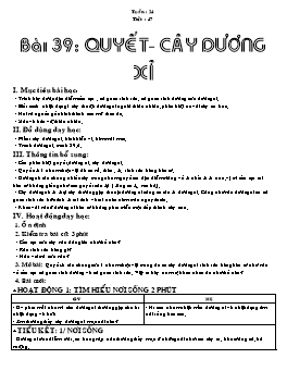 Giáo án Sinh học Lớp 6 - Tiết 47: Quyết - Cây dương xỉ