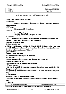 Giáo án Sinh học Lớp 6 - Tiết 5+6 - Năm học 2010-2011