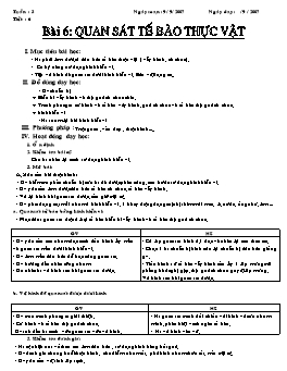 Giáo án Sinh học Lớp 6 - Tiết 6: Quan sát tế bào thực vật - Năm học 2007-2008