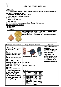 Giáo án Sinh học Lớp 6 - Tuần 4