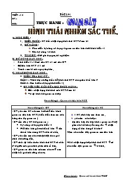 Giáo án Sinh học Lớp 9 - Tiết 14: Thực hành: Quan sát hình thái nhiễm sắc thể