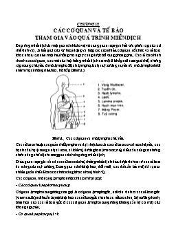 Giáo trình Miễn dịch học - Chương III: Các cơ quan và tế bào tham gia vào quá trình miễn dịch