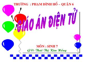 Bài giảng Sinh học 7 - Bài 14: Bạch cầu - Miễn dịch - Thái Thị Kim Hồng