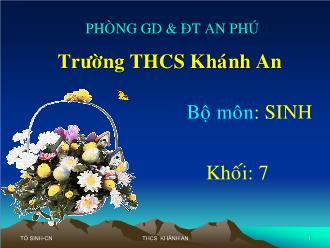 Bài giảng Sinh học 7 - Bài 27: Đa dạng và đặc điểm chung của lớp sâu bọ - Trường THCS Khánh An