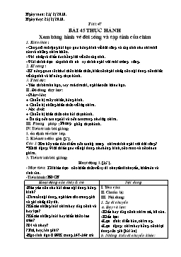 Giáo án môn Sinh học 7 - Tiết 47: Thực hành: Xem băng hình về đời sống và tập tính của chim - Năm học 2009-2010