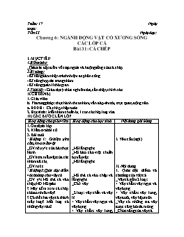 Giáo án môn Sinh học Lớp 7 - Tiết 33: Cá chép