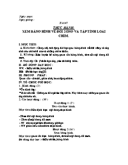 Giáo án môn Sinh học Lớp 7 - Tiết 47: Thực hành: Xem băng hình về đời sống và tập tính loài chim