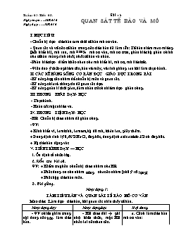 Giáo án môn Sinh học Lớp 8 - Tiết 5: Quan sát tế bào và mô - Năm học 2010-2011