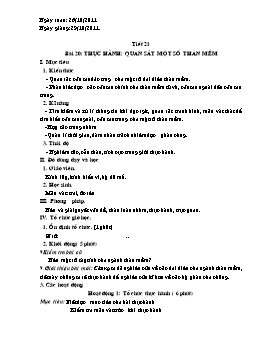 Giáo án Sinh học 7 - Tiết 21: Thực hành: quan sát một số thân mềm - Năm học 2011-2012