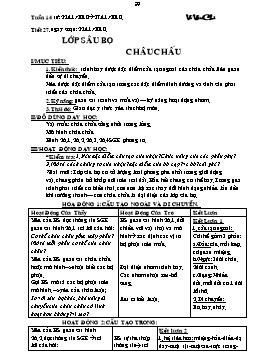 Giáo án Sinh học Lớp 7 - Tiết 27: Lớp sâu bọ - Châu chấu - Võ Văn Chi