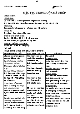 Giáo án Sinh học Lớp 7 - Tiết 32: Cấu tạo trong của cá chép - Võ Văn Chi