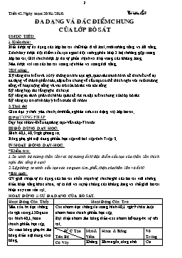 Giáo án Sinh học Lớp 7 - Tiết 42: Đa dạng và đặc điểm chung của lớp bò sát - Võ Văn Chi