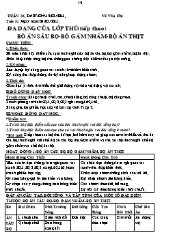 Giáo án Sinh học Lớp 7 - Tiết 51: Đa dạng của lớp thú (Tiếp theo) - Bộ ăn sâu bọ - Bộ gặm nhấm - Bộ ăn thịt - Võ Văn Chi