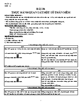 Giáo án Sinh học Lớp 7 - Tuần 11