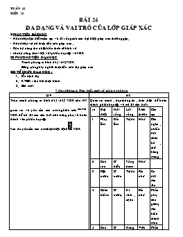 Giáo án Sinh học Lớp 7 - Tuần 13