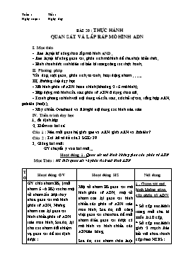 Giáo án Sinh học Lớp 9 - Bài 20: Thực hành quan sát và lắp ráp mô hình ADN