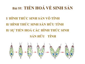 Bài giảng Sinh học 7 - Bài 55: Tiến hóa về sinh sản