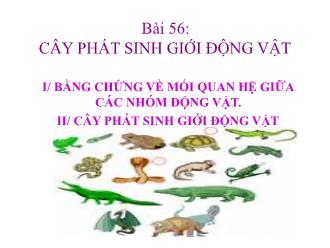 Bài giảng Sinh học Khối 7 - Bài 56: Cây phát sinh giới động vật