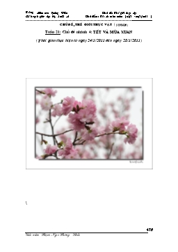 Giáo án Mẫu giáo Lớp Chồi - Chủ đề: Thế giới thực vật - Chủ đề nhánh 4: Tết và mùa xuân