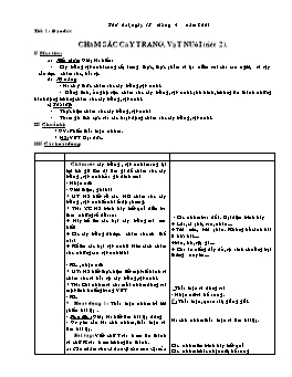 Giáo án điện tử Lớp 3 - Tuần 31