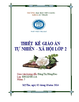 Giáo án Tự nhiên và xã hội Lớp 2  - Bài 13: Giữ gìn môi trường xung quanh nhà ở - Đặng Thị Hồng Đào