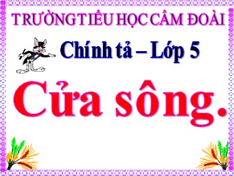 Bài giảng Chính tả Lớp 5 - Bài: Cửa sông - Trường Tiểu học Cẩm Đoài