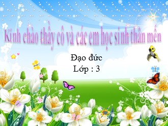 Bài giảng Đạo đức Lớp 3 - Năm học 2015-2016