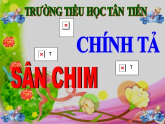 Bài giảng Tiếng Việt Lớp 2 - Chính tả Sân chim - Trường Tiểu học Tân Tiến