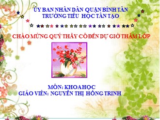 Bài giảng Khoa học Lớp 4 - Bài: Ba thể của nước - Nguyễn Thị Hồng Trinh